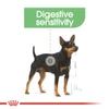 5db1909d_royal-canin-digestive-care-dog-pouch-loaf-85g