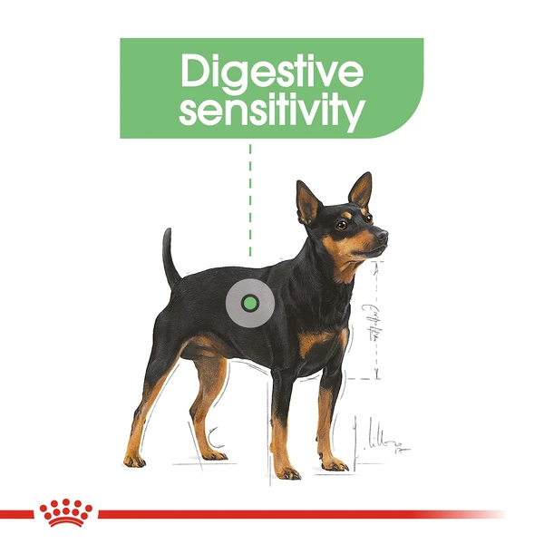 5db1909d_royal-canin-digestive-care-dog-pouch-loaf-85g