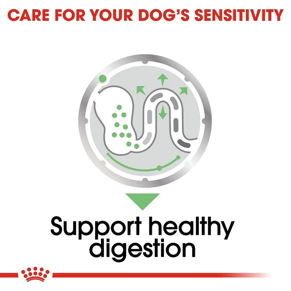 5db1909d_royal-canin-digestive-care-dog-pouch-loaf-85g