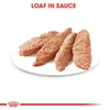 5db190b1_royal-canin-digestive-care-dog-pouch-loaf-85g