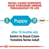 5db6e269_royal-canin-yorkshire-terrier-puppy-1-5kg