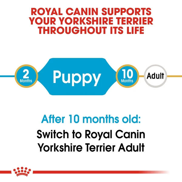 5db6e269_royal-canin-yorkshire-terrier-puppy-1-5kg