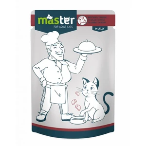 Master Adult Cat Wet Food in Jelly Pouch 80 g