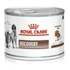 Royal Canin Recovery Ultra Soft Mousse for Cats and Dogs Cans 195g 