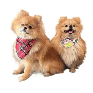 Petmoda Dog & Cat Bandana XS - Watermelon