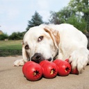 Kong Goodie Ribbon Large - Red