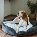 Ariika Daisy Pet Bed