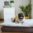 Ariika Lucas Pet Bed