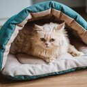 Ariika Cave Pet Bed