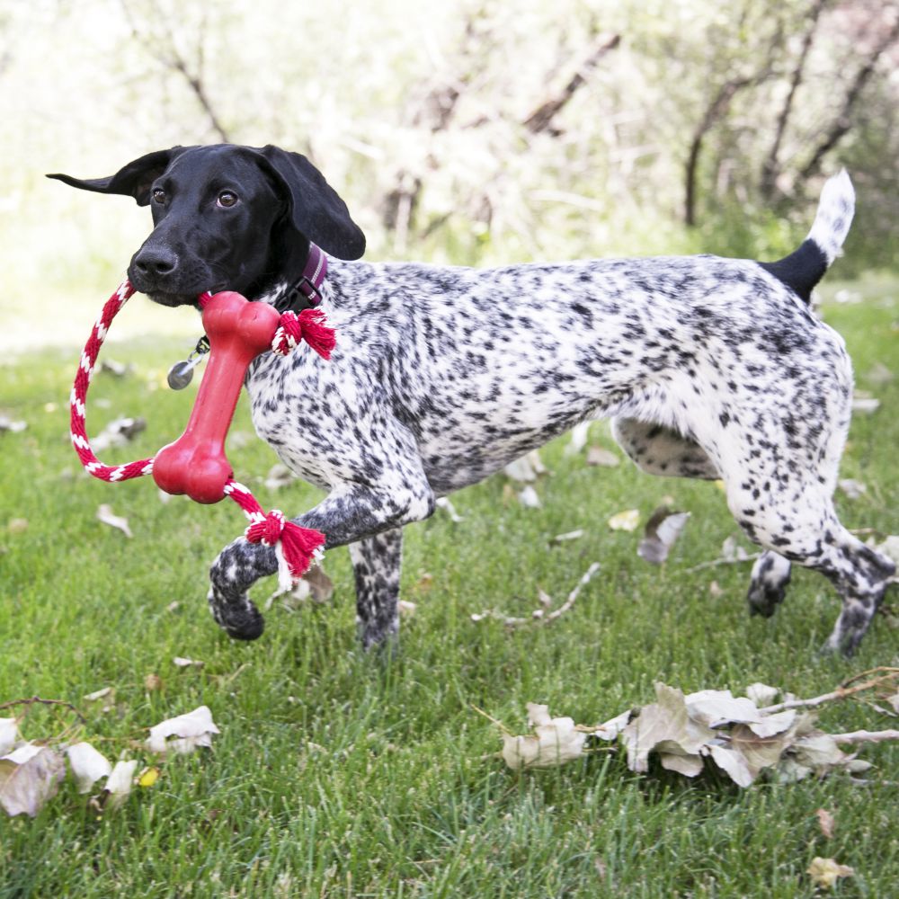 Kong Goodie Bone with Rope XSmall - Red