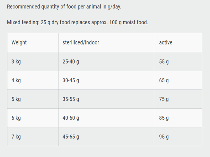 Leonardo Adult Salmon Grain Free 300 g