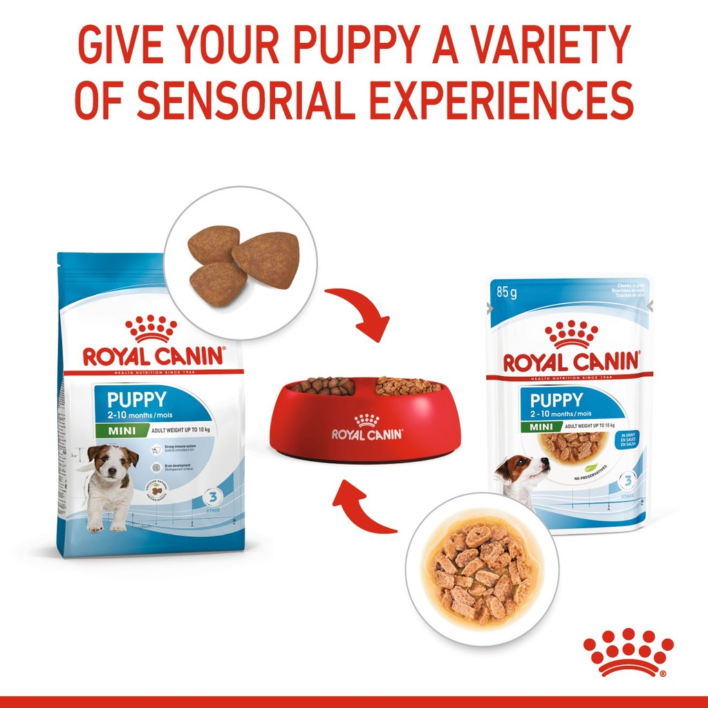 Royal Canin Mini Puppy Dry Food 2kg 