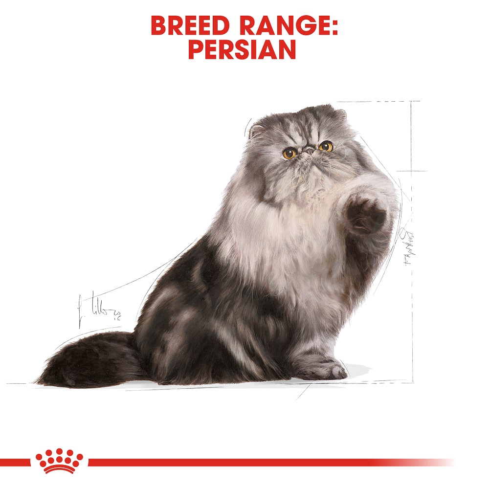 Royal Canin Persian Adult Cat Food 2 kg 