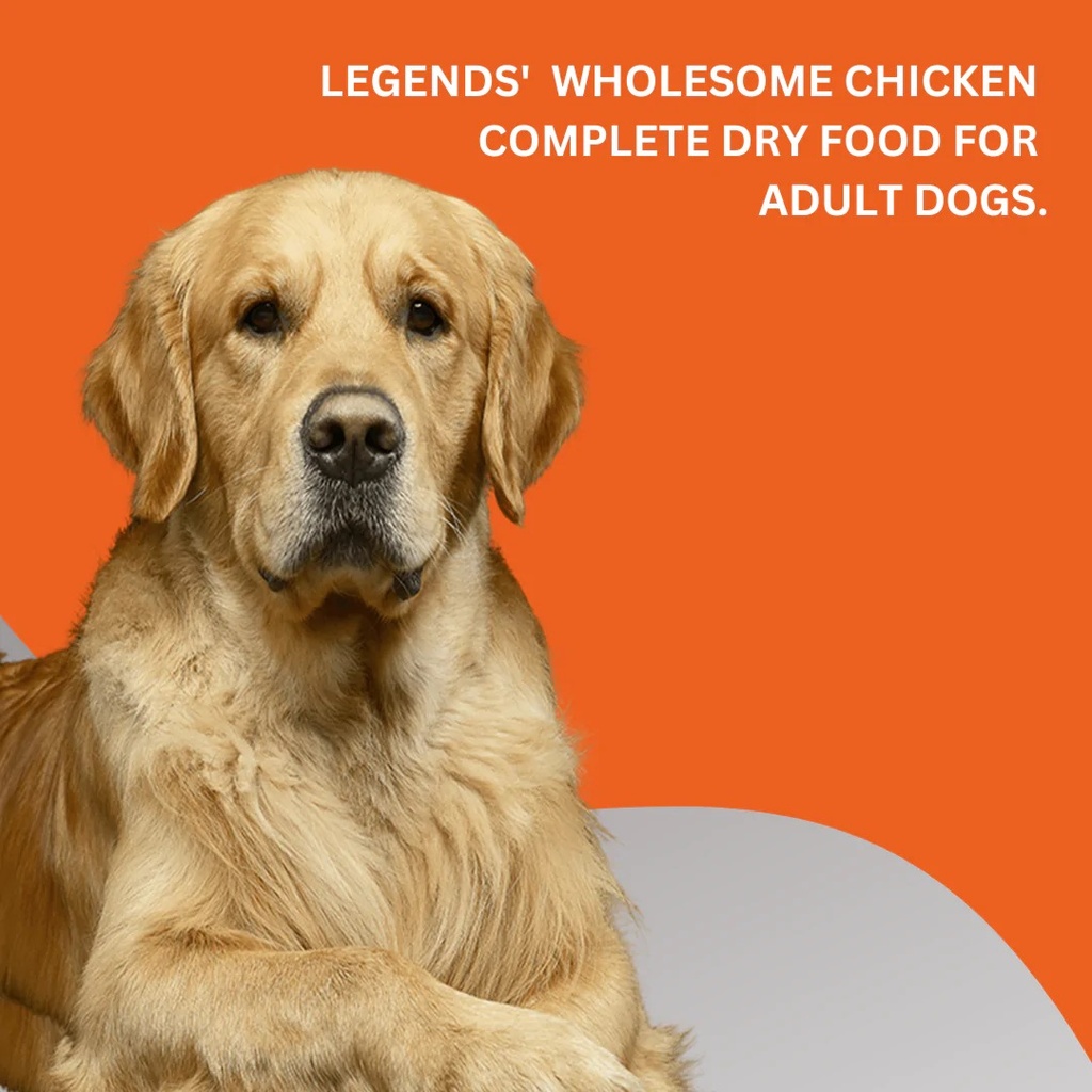 Legends Wholesome Chicken Adult Dogs Dry Food 20 Kg