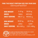 Legends Wholesome Chicken Adult Dogs Dry Food 20 Kg