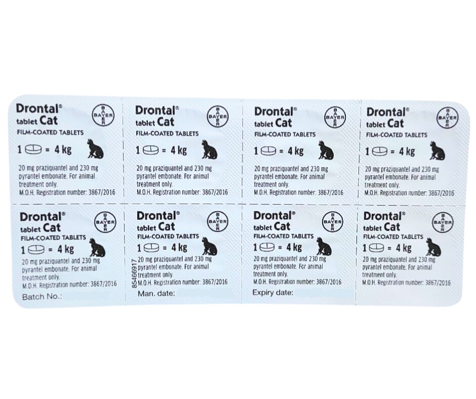 Drontal Cat Worming Tablet  x 1