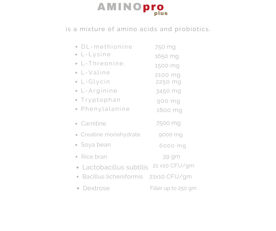 Pti Amino Pro Plus Organic Ingredient 250 gm