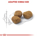 Royal Canin Indoor +7 NEW 1.5kg