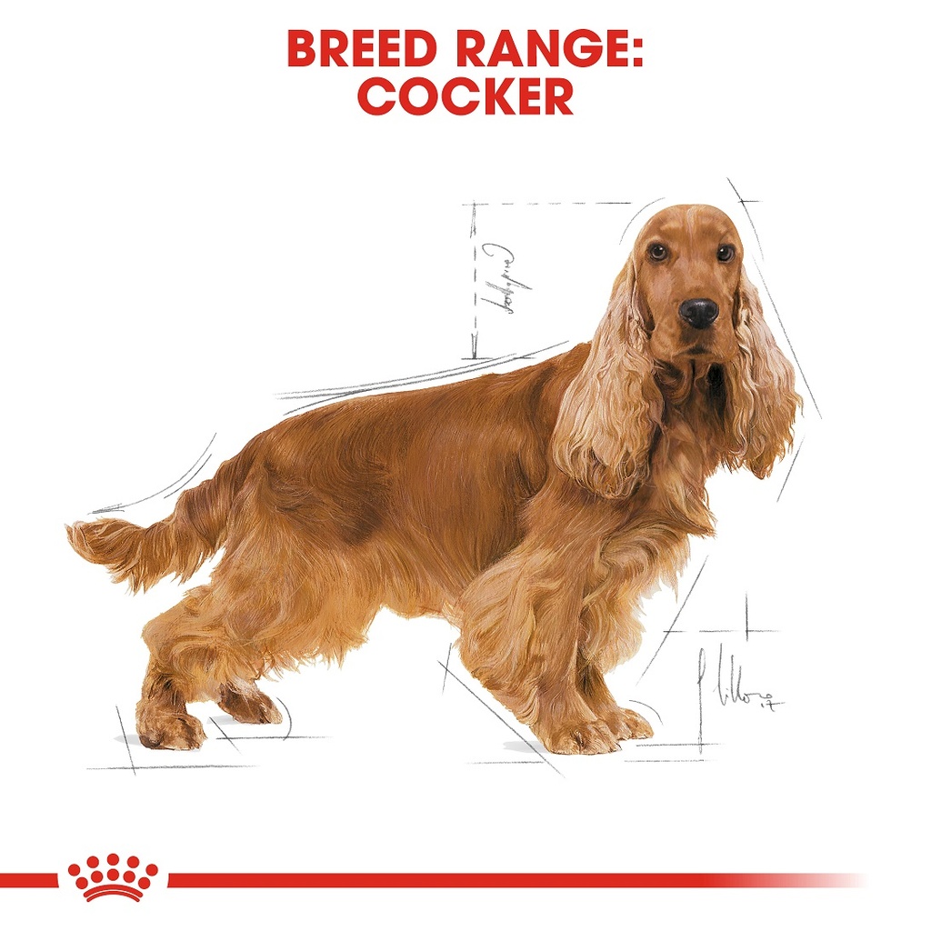 Royal Canin Cocker Spaniel Adult 3kg