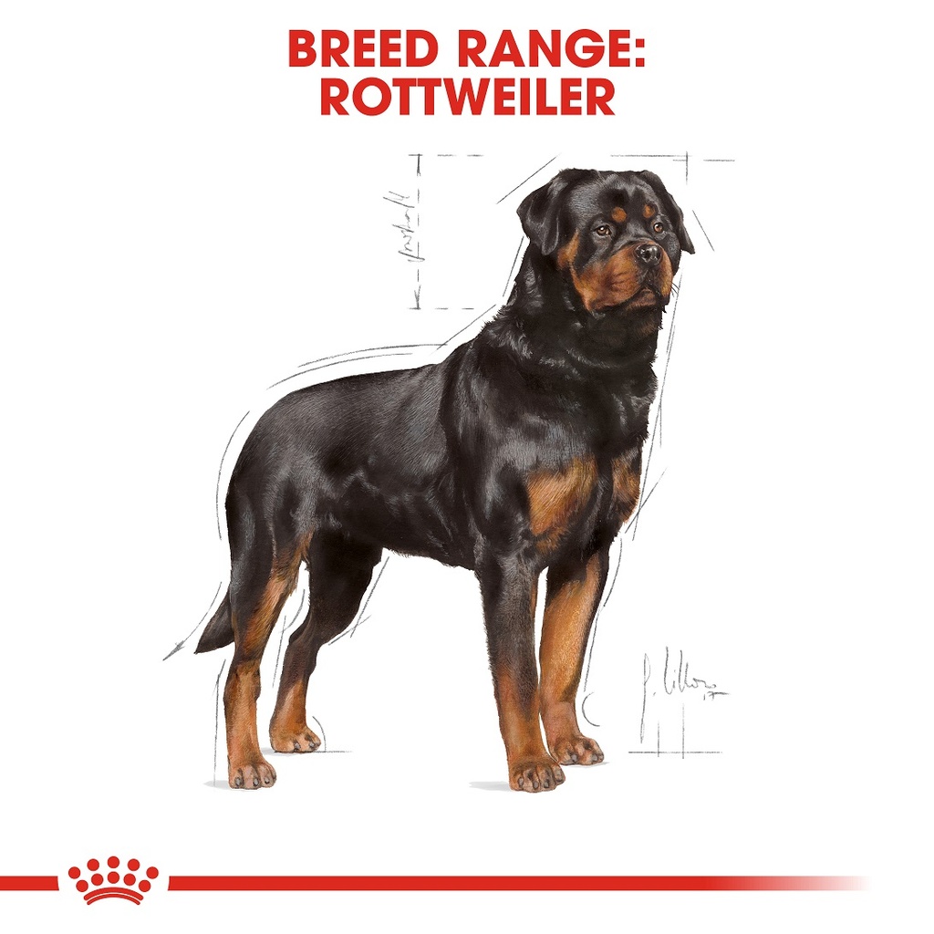 Royal Canin Rottweiler Dry Food 17kg