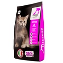 Legends Kitten Cat Dry Food With Chicken 1 Kg 