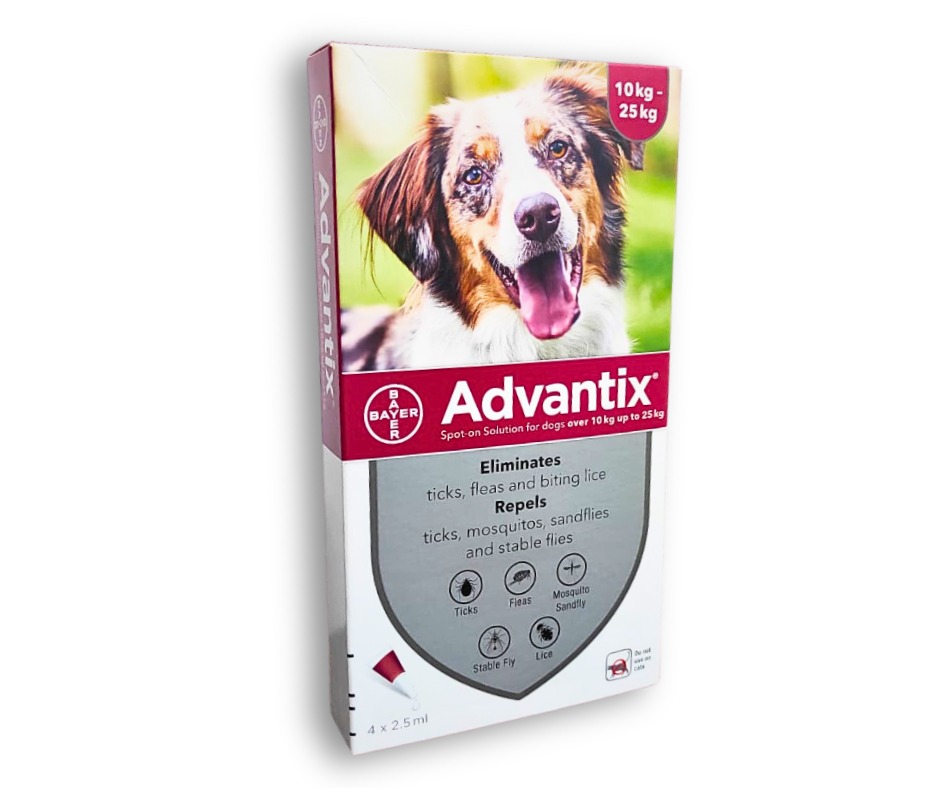 1 Dose x Advantix for dogs and puppies over 10kg to 25kg 