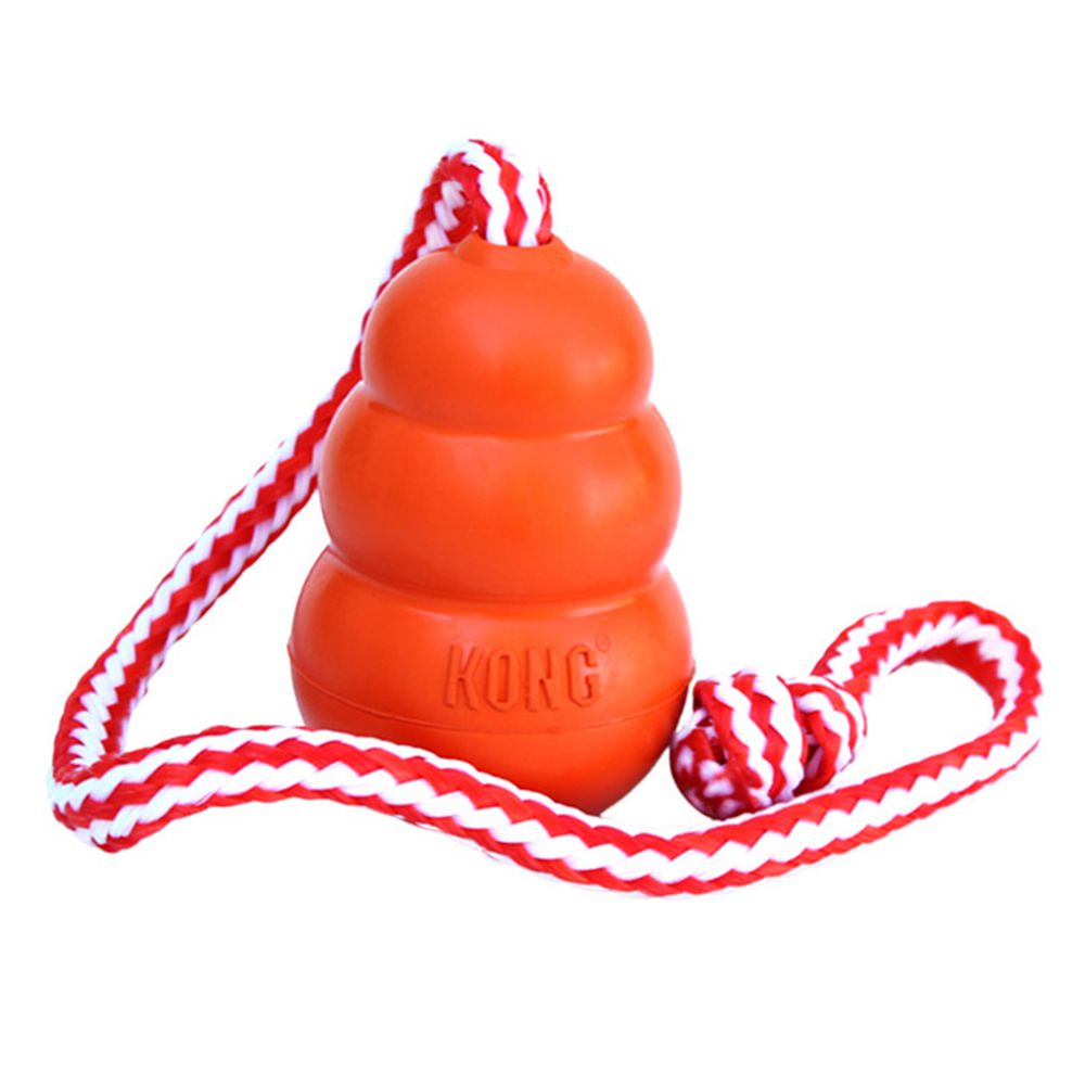 Kong Aqua Large - Orange