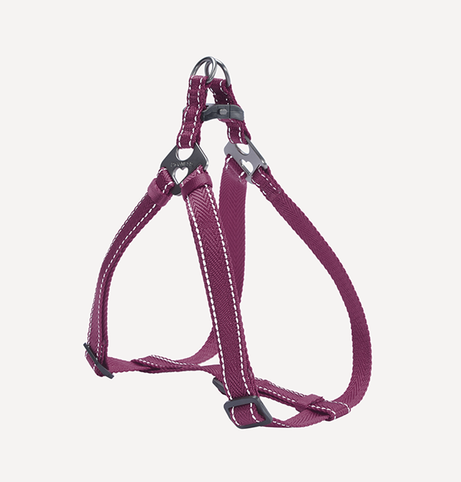 DOGNESS Challenger Harness M (1.6x31-50cm)