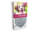 1 Dose x Advantix for dogs and puppies over 10kg to 25kg 