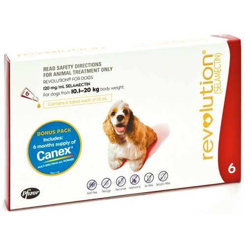 [0186] Revolution for dogs 10kg-20kg(Single Dose)