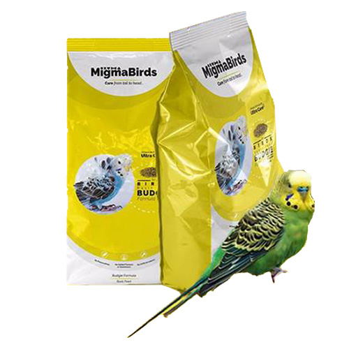 [1137] Migma Birds Budgie 800g